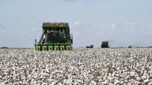 Le coton labellisé "durable" en plein boom au Brésil