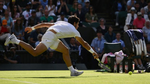 Djokovic se reencuentra con Sinner, Alcaraz compite con Medvedev por la final de Wimbledon