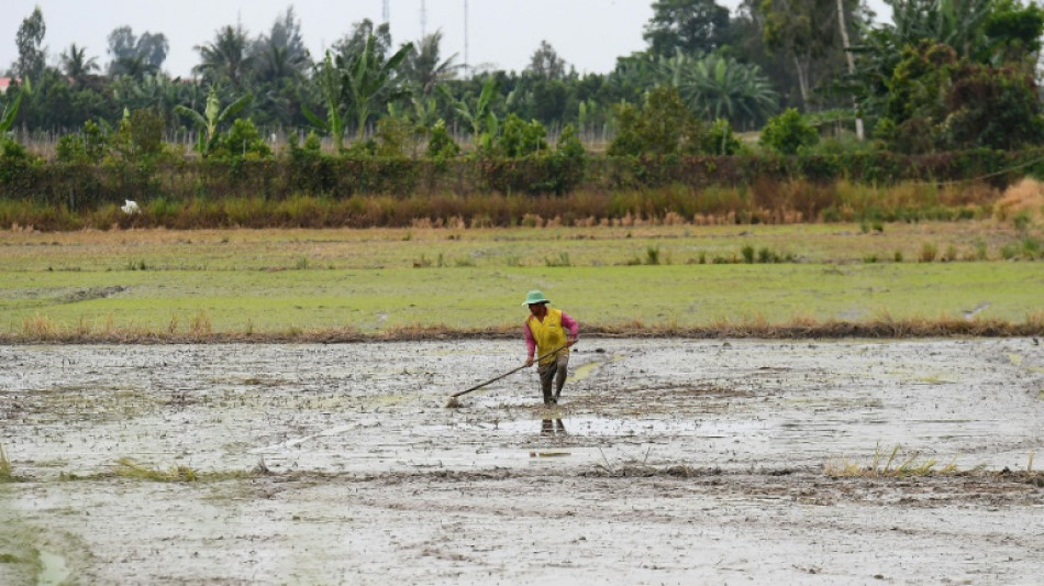 Vietnam faces $3bn annual crop losses from rising saltwater levels