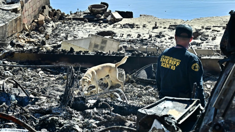 Suche nach weiteren Opfern in Los Angeles - Scharfer Wind droht