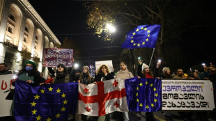 14. Tag in Folge: Tausende Menschen in Georgien bei pro-europäischem Protest