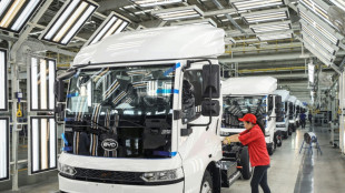 Chinesischer Elektroautobauer BYD macht 24 Prozent mehr Gewinn  