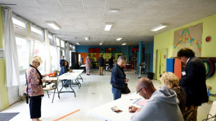 Législatives: la participation en légère hausse à midi