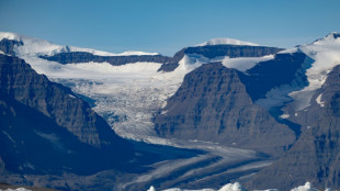 Toutes les régions glaciaires ont vu leur masse fondre l'an dernier (ONU)