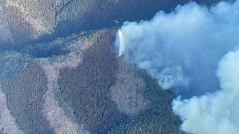 Japan deploys 2,000 firefighters to tackle forest blaze