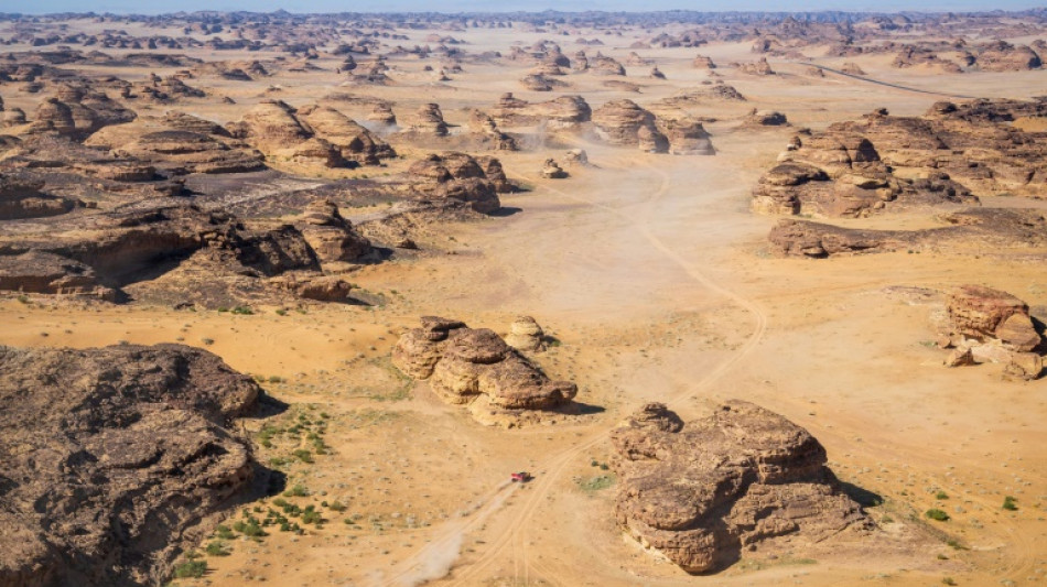 Loeb's hopes of Dakar glory in ruins 