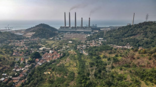 NGOs accuse ADB of funding Indonesia coal plants despite clean energy promises