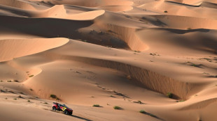 Al-Attiyah and Quintanilla dominate Dakar dunes to win stage 5