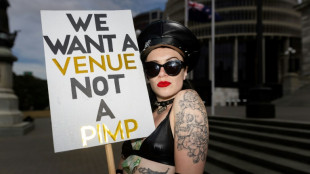 New Zealand strippers march on parliament for legal protections