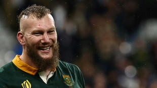 Snyman returns for Springboks' November internationals