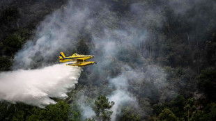 Canicule en Europe occidentale: poursuite des incendies, records de chaleur attendus