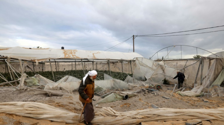 A Gaza, des terres fertiles ravagées par la guerre