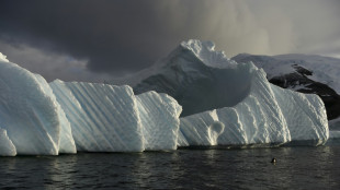 Dangerous slowing of Antarctic ocean circulation sooner than expected