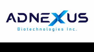 Adnexus Biotechnologies Inc. Announces a Merger Agreement to Acquire Sanctum Therapeutics Corporation