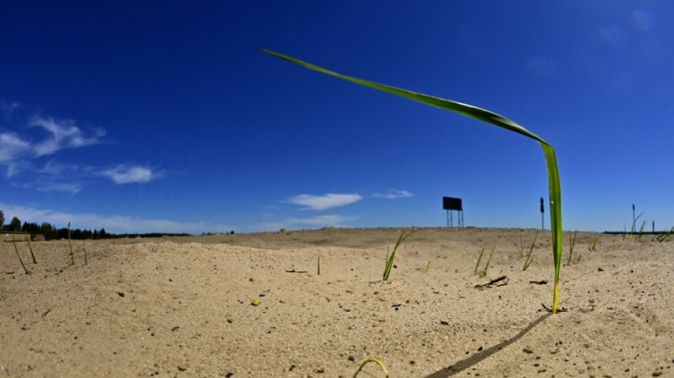 Baerbock ruft zu breiter Allianz für Klimaschutz und Klimafinanzierung auf