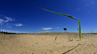 Habeck legt Entwurf für neues Klimaschutzgesetz vor