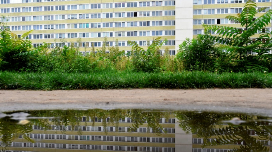 Statistisches Bundesamt: Abwanderung junger Menschen aus Ostdeutschland geht weiter