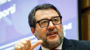 Salvini, Afd raddoppia i voti, Ue da cambiare radicalmente