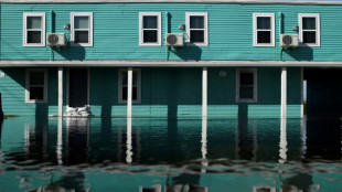 La tempête Béryl remonte les Etats-Unis après avoir fait huit morts dans le sud