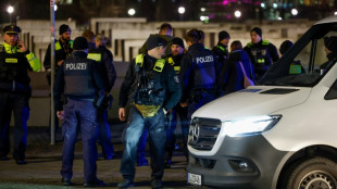 Un homme attaqué et grièvement blessé au Mémorial de l'Holocauste à Berlin