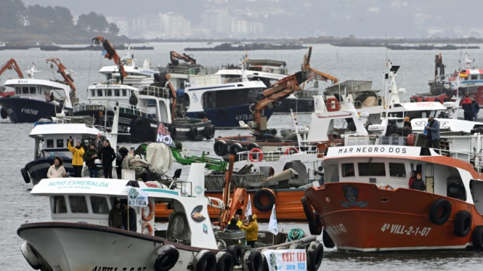 'Surf and turf' protest in Spain against factory, mine