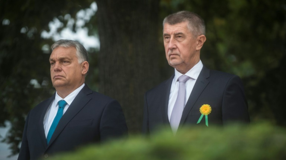 Ukraine war fears give eastern Europe's populists new ammo