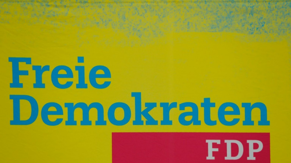 FDP-Fraktion erhöht mit Plan zu "Migrationswende" Druck auf die Grünen 