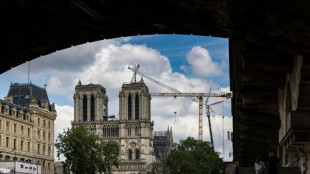 Modeschöpfer Castelbajac entwirft liturgische Gewänder für Pariser Kathedrale Notre-Dame 