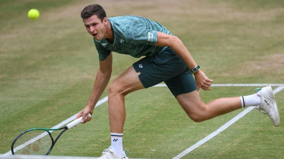 Tennis: Hurkacz s'attaque à Medvedev en finale à Halle