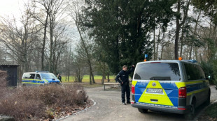 Dos muertos en un ataque con cuchillo en un parque en Alemania