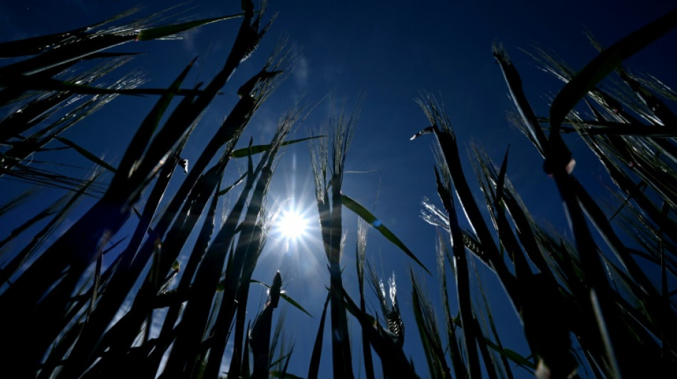 Forest fire risks mount in drought-hit Nordic nations