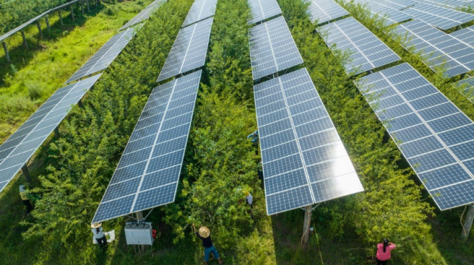 China kündigt grundlegende Änderung bei der Festlegung seiner Klimaziele an