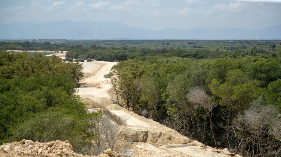 Muro fronterizo amenaza inmensos humedales entre Dominicana y Haití