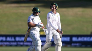 'Hard graft' from all-rounders leads South Africa fightback