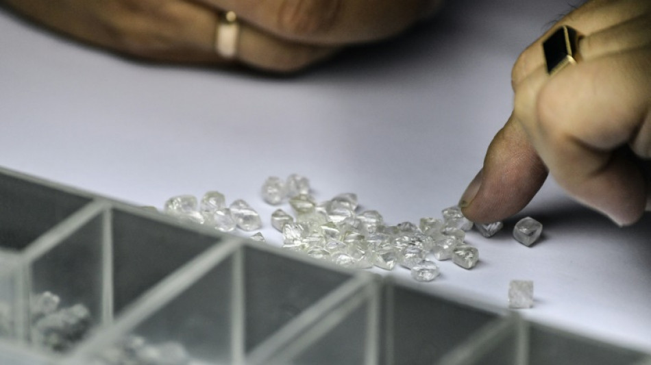 G7 leaders agree to restrict imports of Russian diamonds: statement