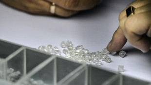 G7 leaders agree to restrict imports of Russian diamonds: statement