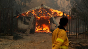 Chili: au moins 13 morts dans plus de 200 incendies de forêt 