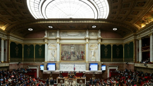 Budget: les députés rejettent la hausse de la taxe sur l'électricité