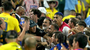 Caos na final, condição dos gramados, pontualidade: os problemas da Copa América 2024