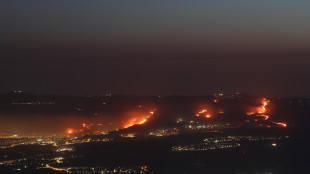 Domati gli incendi al nord di Israele dopo i lanci Hezbollah