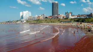 Algas tiñen de rojo turísticas playas de la costa atlántica argentina