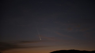 Cometa Tsuchinshan-Atlas será visível do hemisfério norte por várias noites