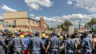 7 burned to death in S. Africa township 'mob' attack: police