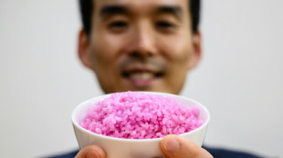 'Meaty rice'? South Korean professor aims to change global protein