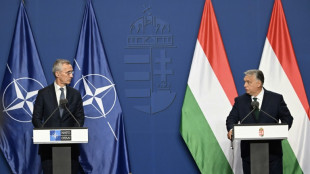 NATO to agree Ukraine support plan after Hungary given opt-out