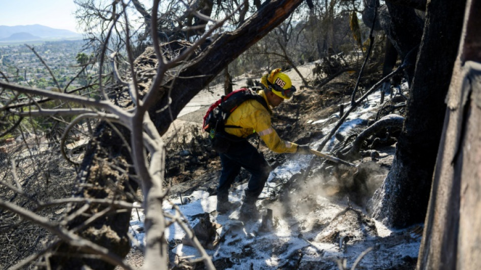 Over 130 homes lost in California wildfire as winds drop