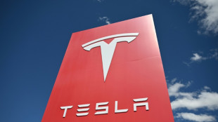 Les ventes de Tesla divisées par deux en Europe