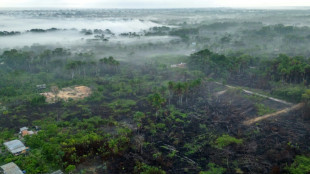 "Les incendies, ça suffit!": en Amazonie, des habitants révoltés face à l'impunité