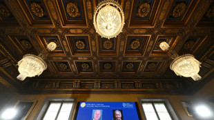 AI steps into science limelight with Nobel wins