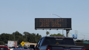 Termometro sopra i 40, ondata di calore estremo in California